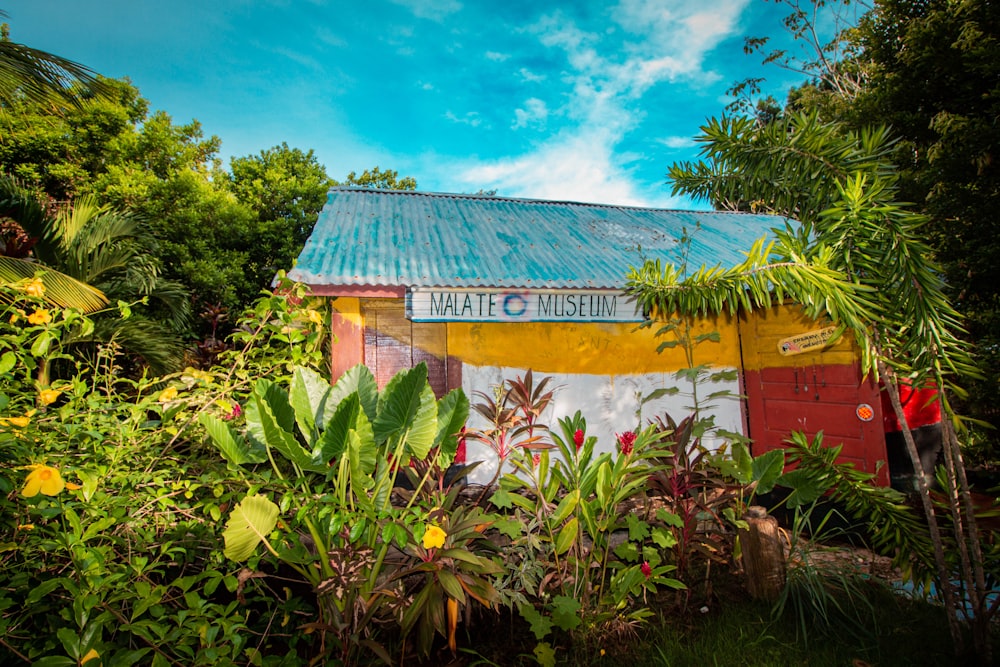 brown wooden house surrounded by green plants under blue sky during daytime