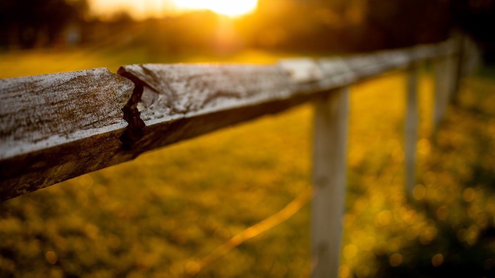 brown wooden fence during daytime