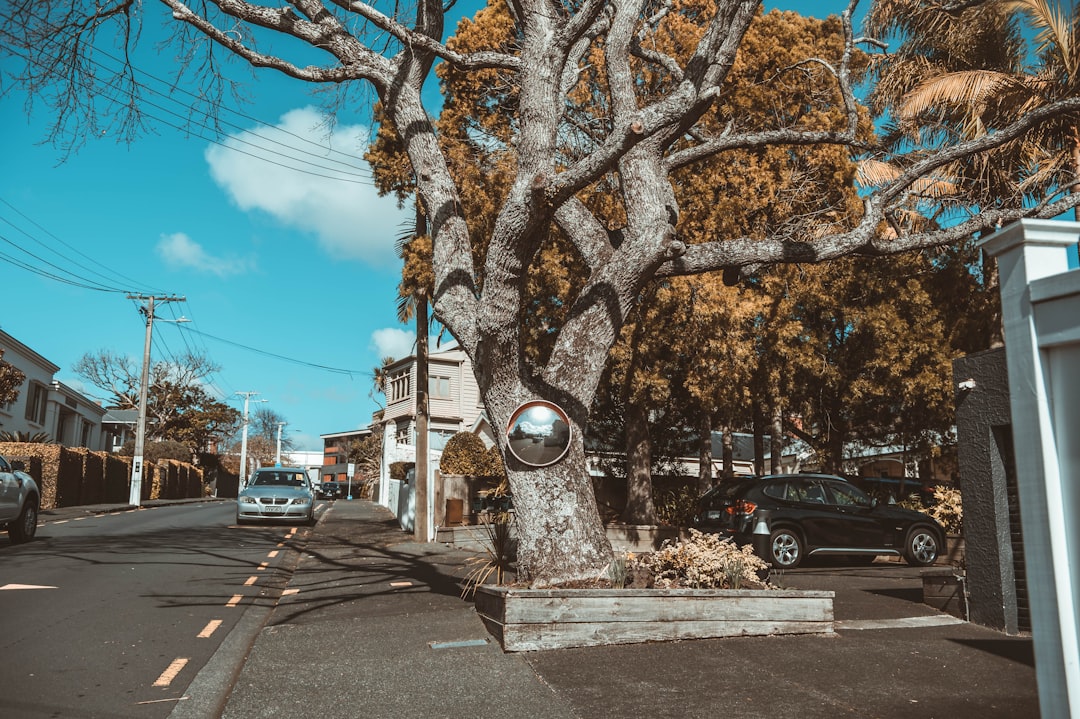 Town photo spot Auckland Parnell