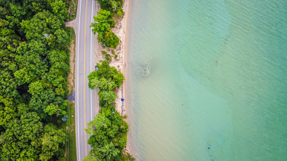 aerial view of green trees beside body of water during daytime