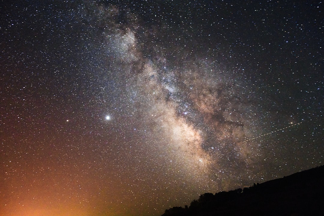 starry night over the silhouette of trees