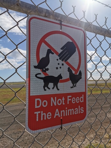 A warning sign attached to a metal fence advises not to feed the animals. The sign features silhouettes of a duck, cat, and chicken with a hand dispersing food, all crossed out to indicate prohibition. It is a sunny day with a blue sky and some clouds in the background.