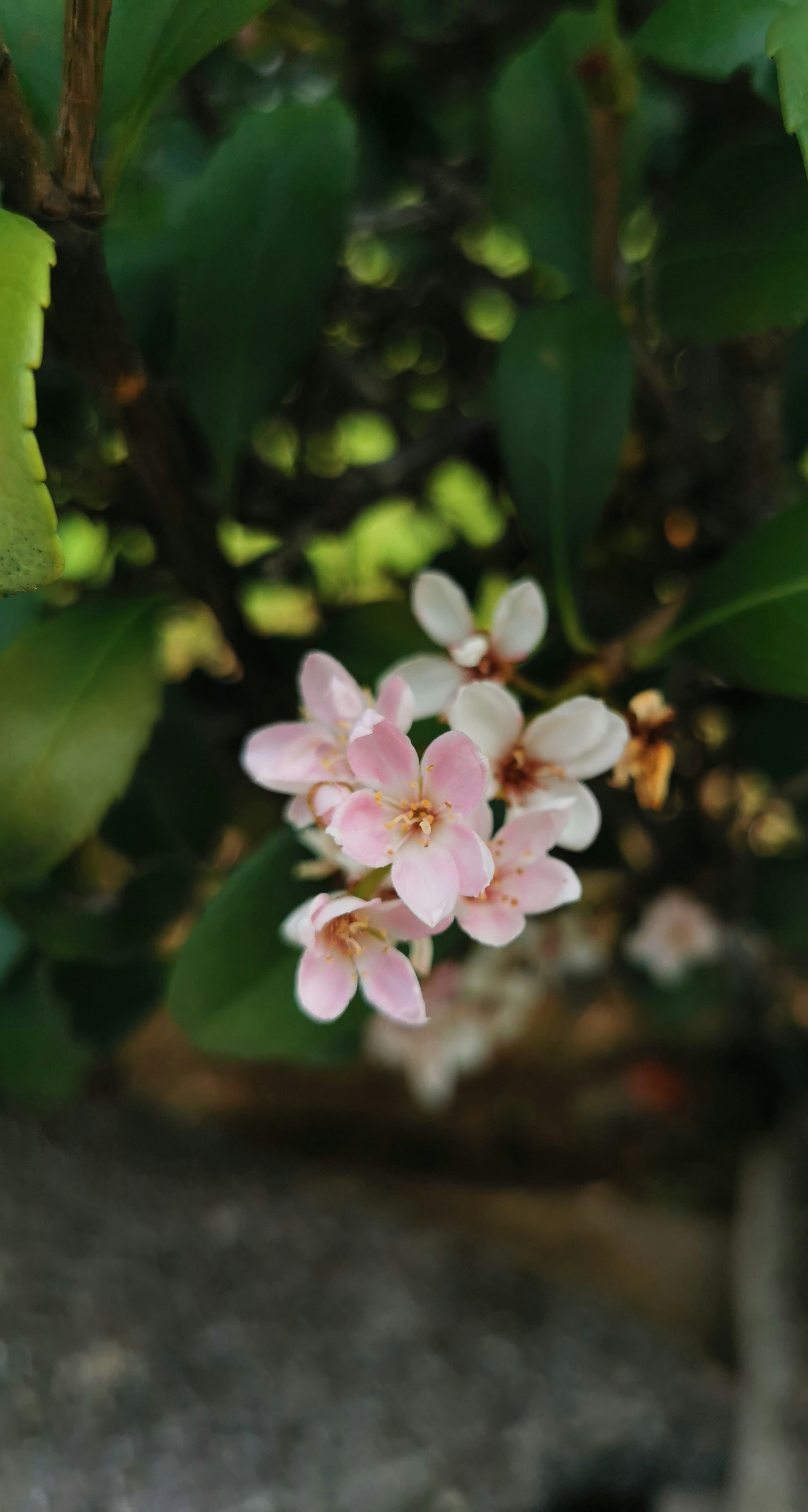 Photo by atoto_photo