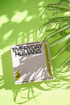 A box labeled 'EVERYDAY HUMANS' lies on a bright green surface, partially covered by the shadows of leaves from nearby plants. The box features a website URL and an emblem with the initials 'EH' next to a globe icon. The lighting creates sharp contrasts with the shadows adding a dynamic pattern across the scene.