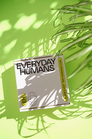 A box labeled 'EVERYDAY HUMANS' lies on a bright green surface, partially covered by the shadows of leaves from nearby plants. The box features a website URL and an emblem with the initials 'EH' next to a globe icon. The lighting creates sharp contrasts with the shadows adding a dynamic pattern across the scene.