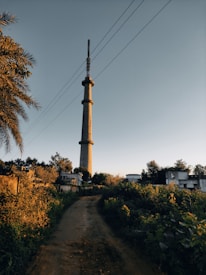 A tall communication tower rises against a clear blue sky, surrounded by lush greenery and a few buildings. The path leading towards the tower is flanked by overgrown vegetation, and palm leaves are visible on the left edge.