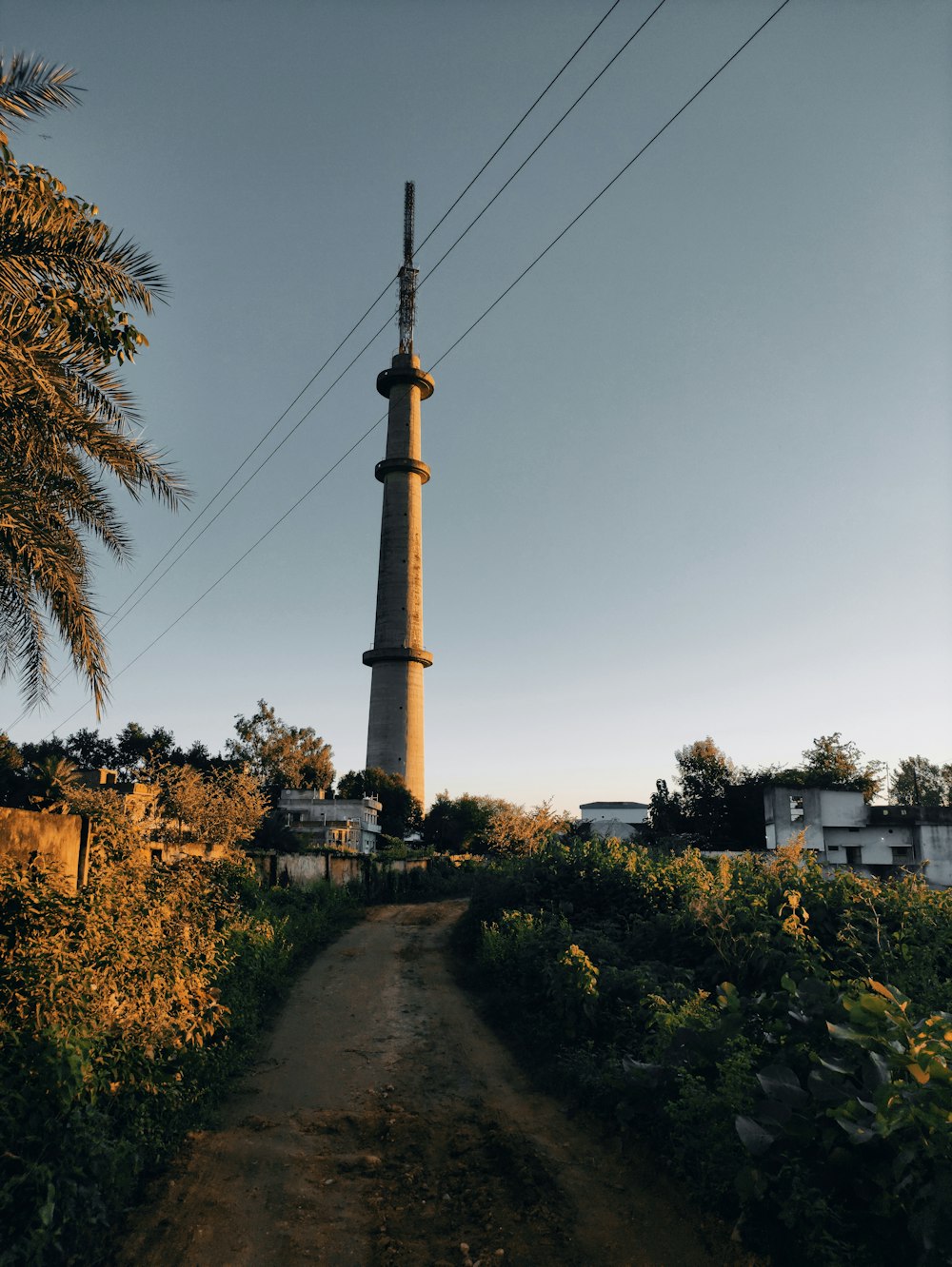 brown and white tower near green trees during daytime