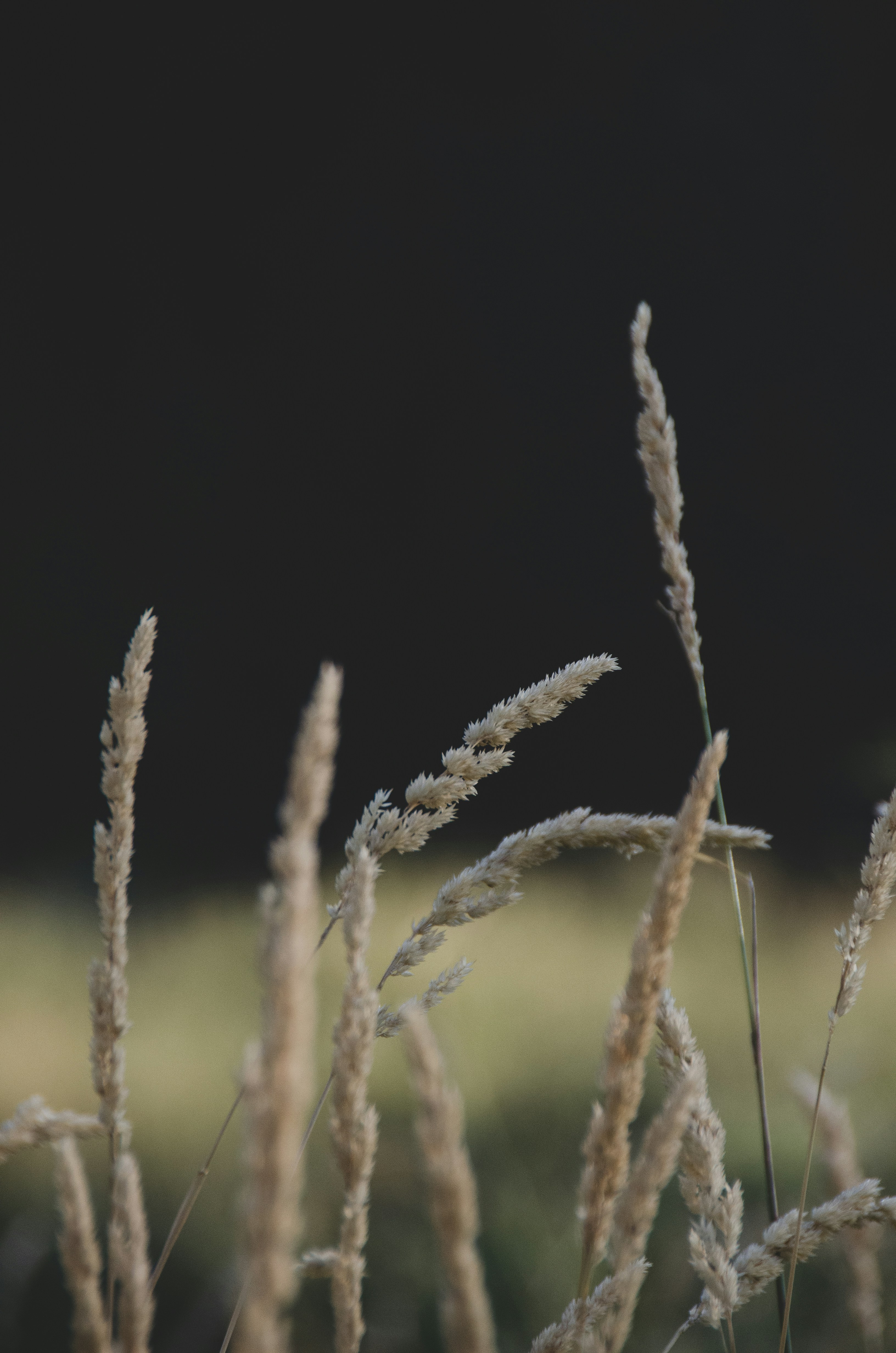 Photo by courtneysmith