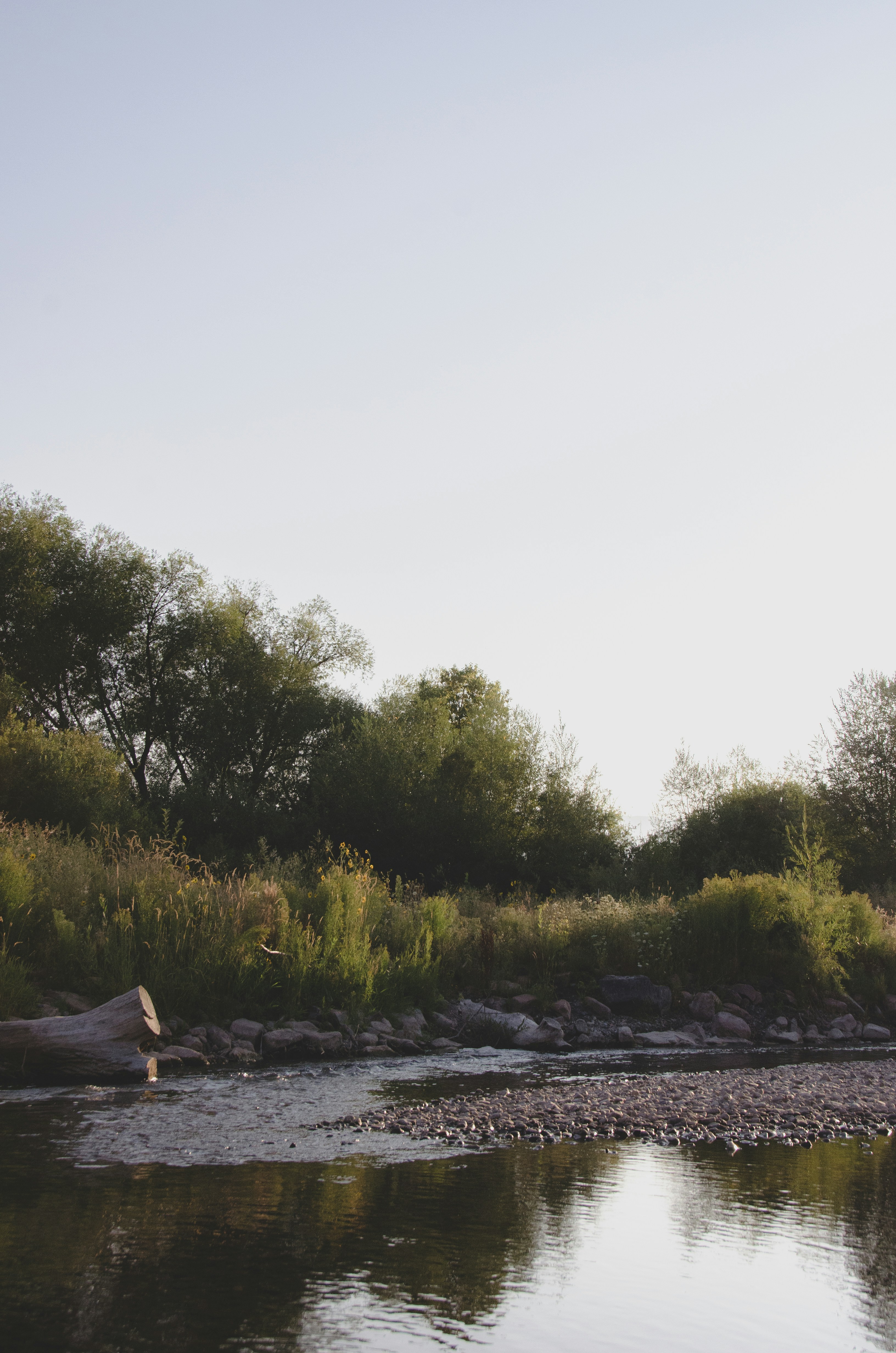 Photo by courtneysmith