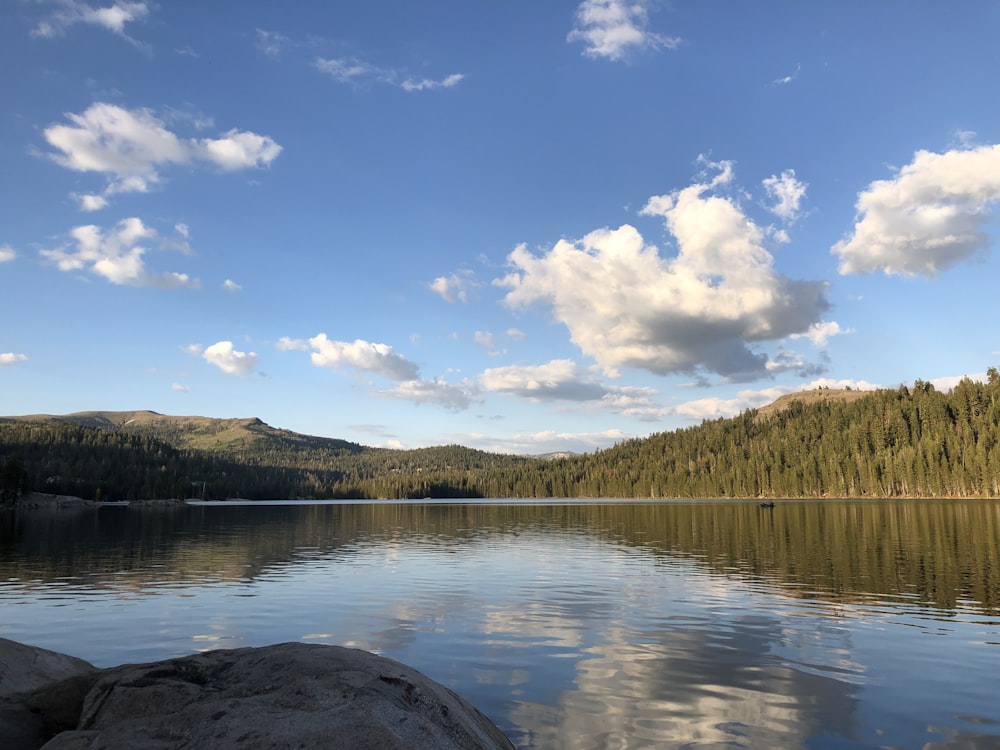 lake surrounded by green trees under blue sky and white clouds during daytime