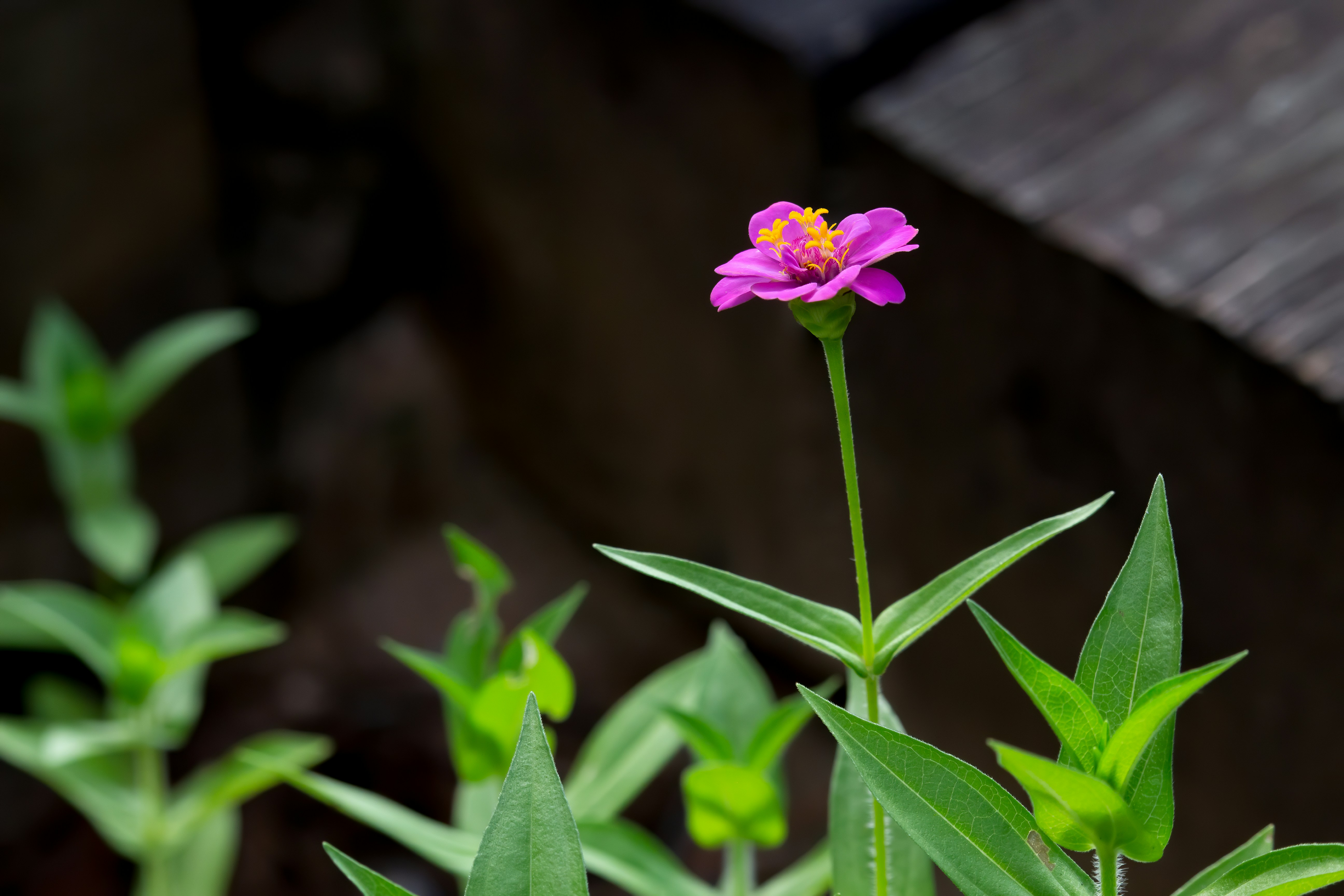 Photo by rendermouse