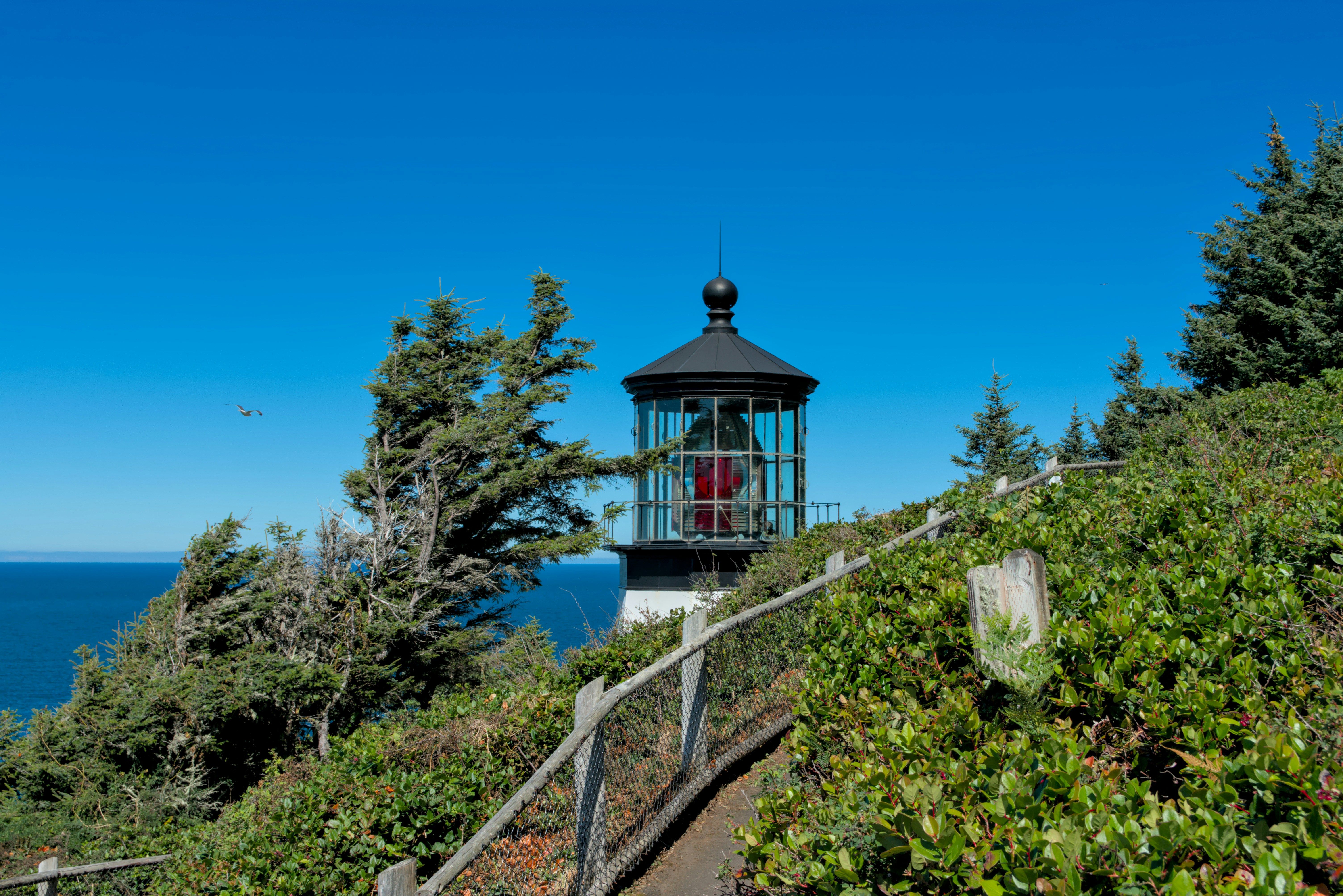 white and red wooden house near green trees under blue sky during daytime