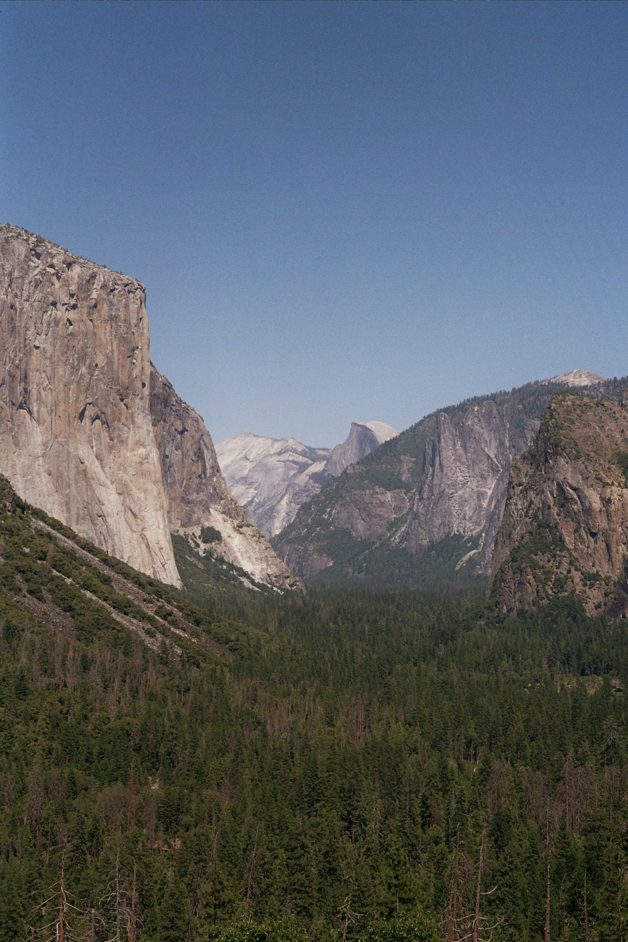 Photo by mikesellcaleb