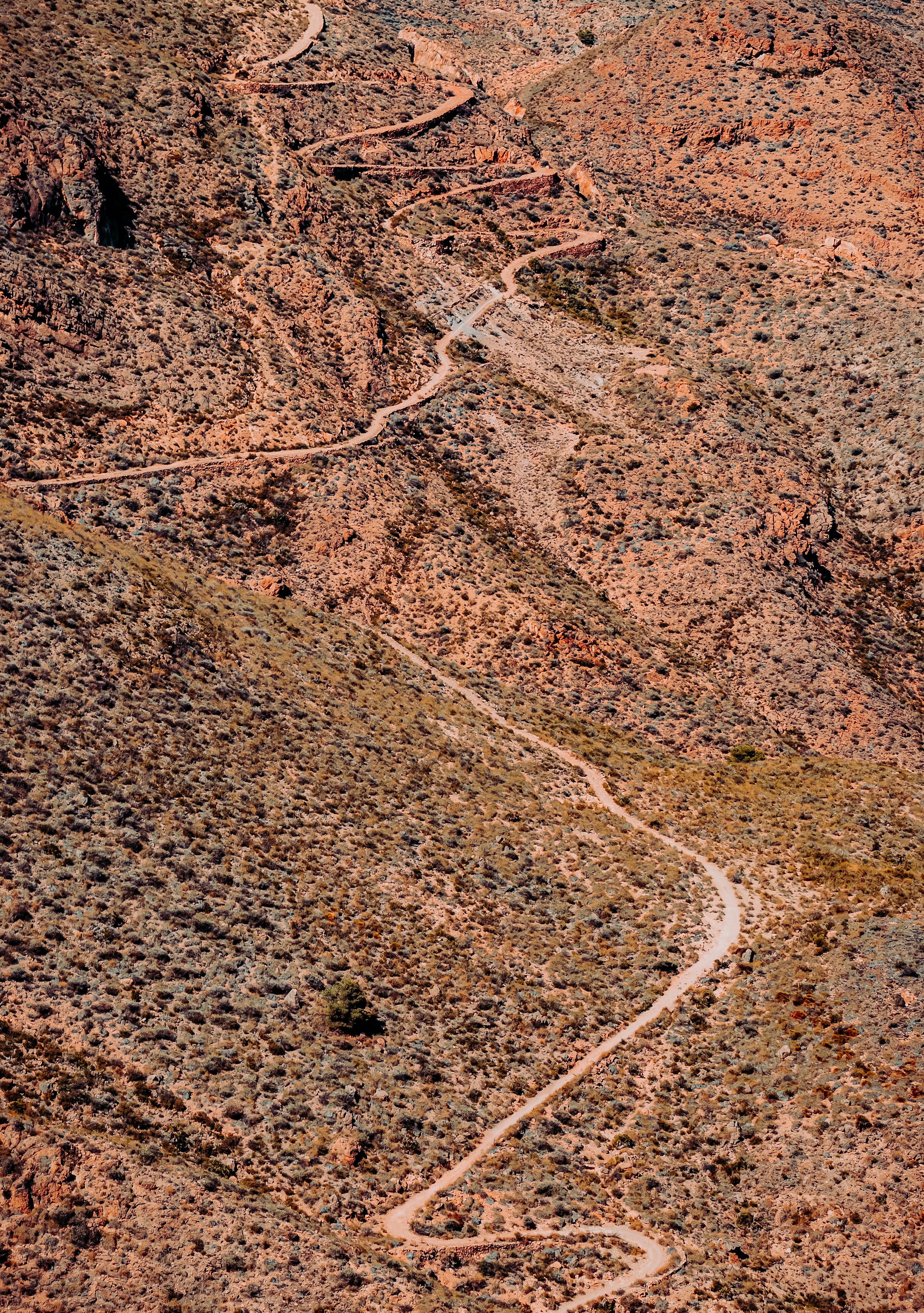 Photo by framesforyourheart