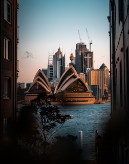 A view of the iconic Sydney Opera House set against the backdrop of Sydney's modern city skyline. The foreground features some silhouetted foliage, and the water reflects a warm glow from the setting sun.