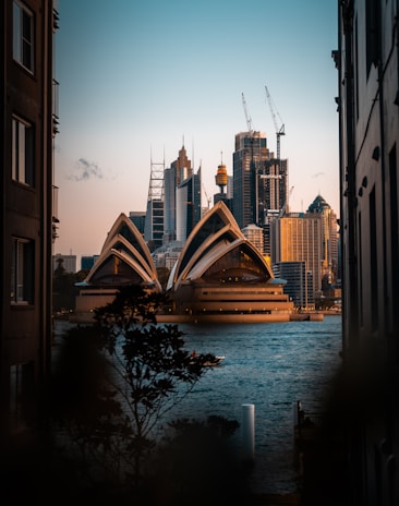 A view of the iconic Sydney Opera House set against the backdrop of Sydney's modern city skyline. The foreground features some silhouetted foliage, and the water reflects a warm glow from the setting sun.