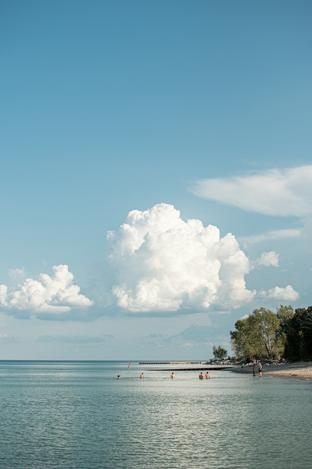 green trees near body of water under blue sky during daytime