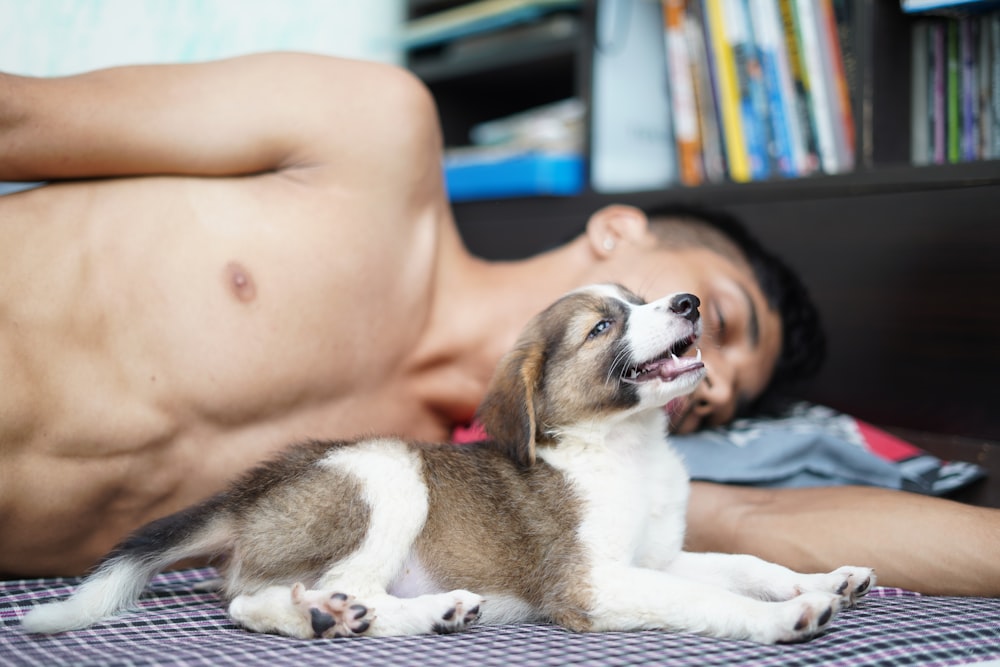 mujer en topless acostada en la cama junto a un perro de pelo corto blanco y marrón