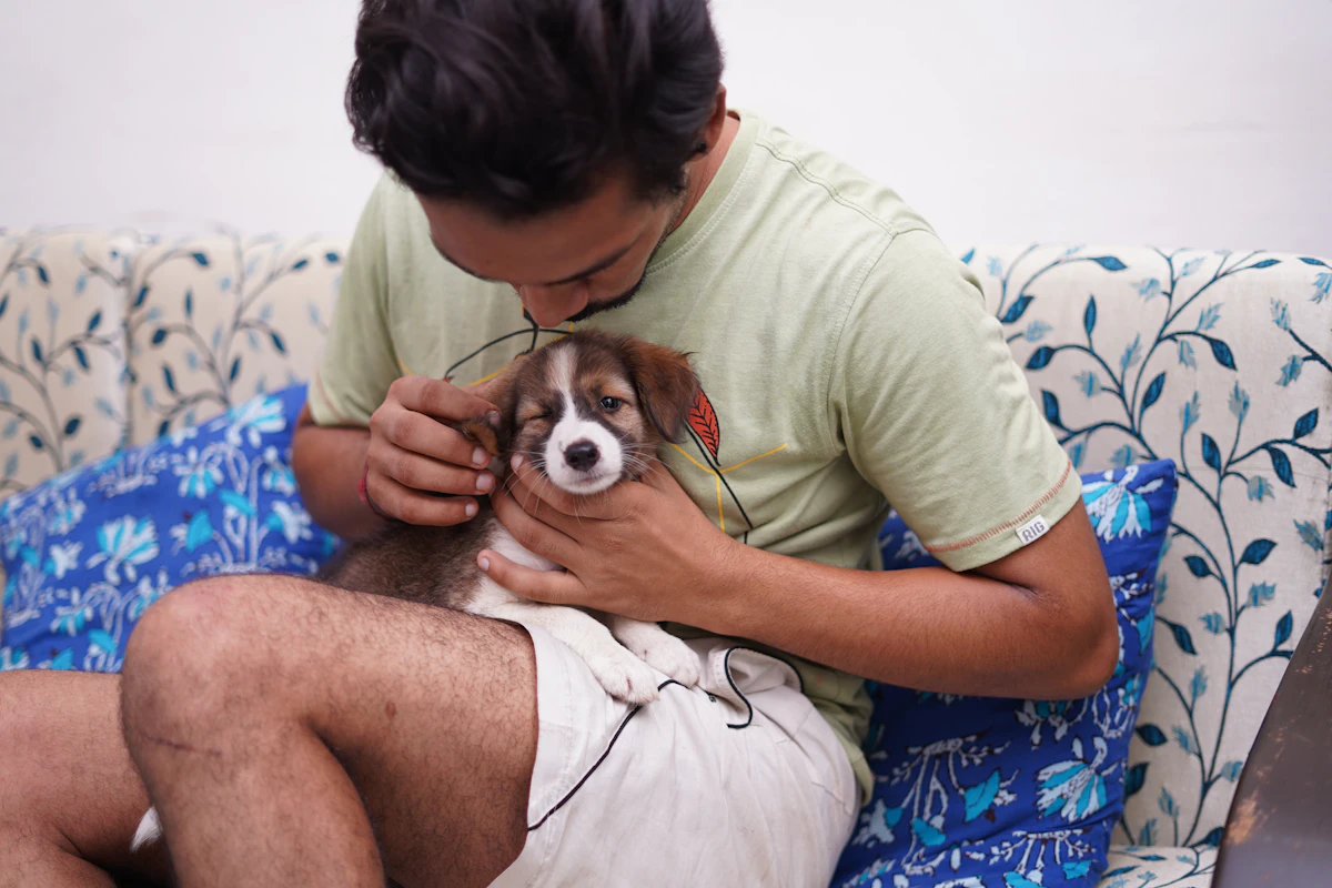 Why Veterinary Practices Still Do Manual Reporting in 2026