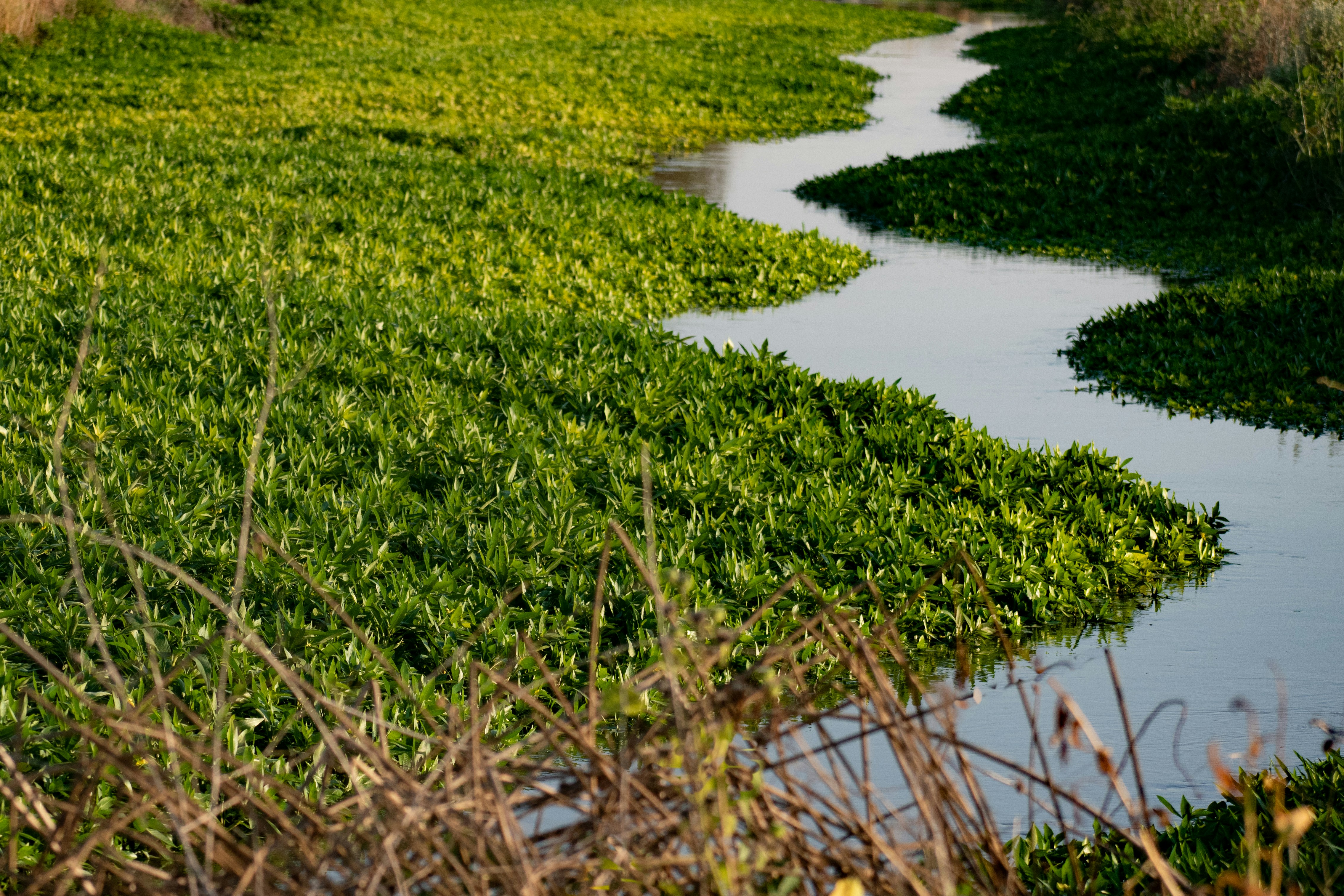 Photo by elisastonephotography