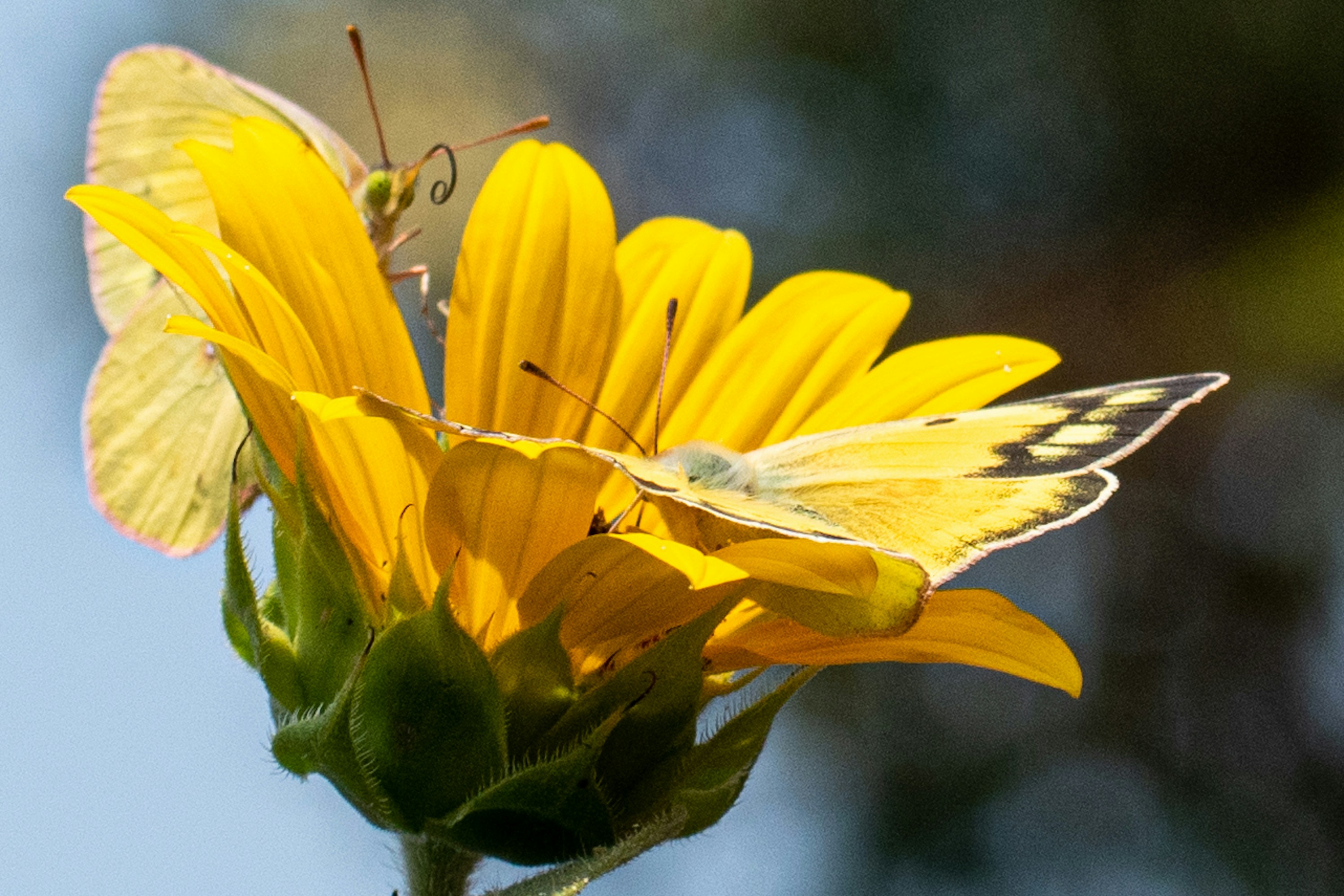 Photo by elisastonephotography