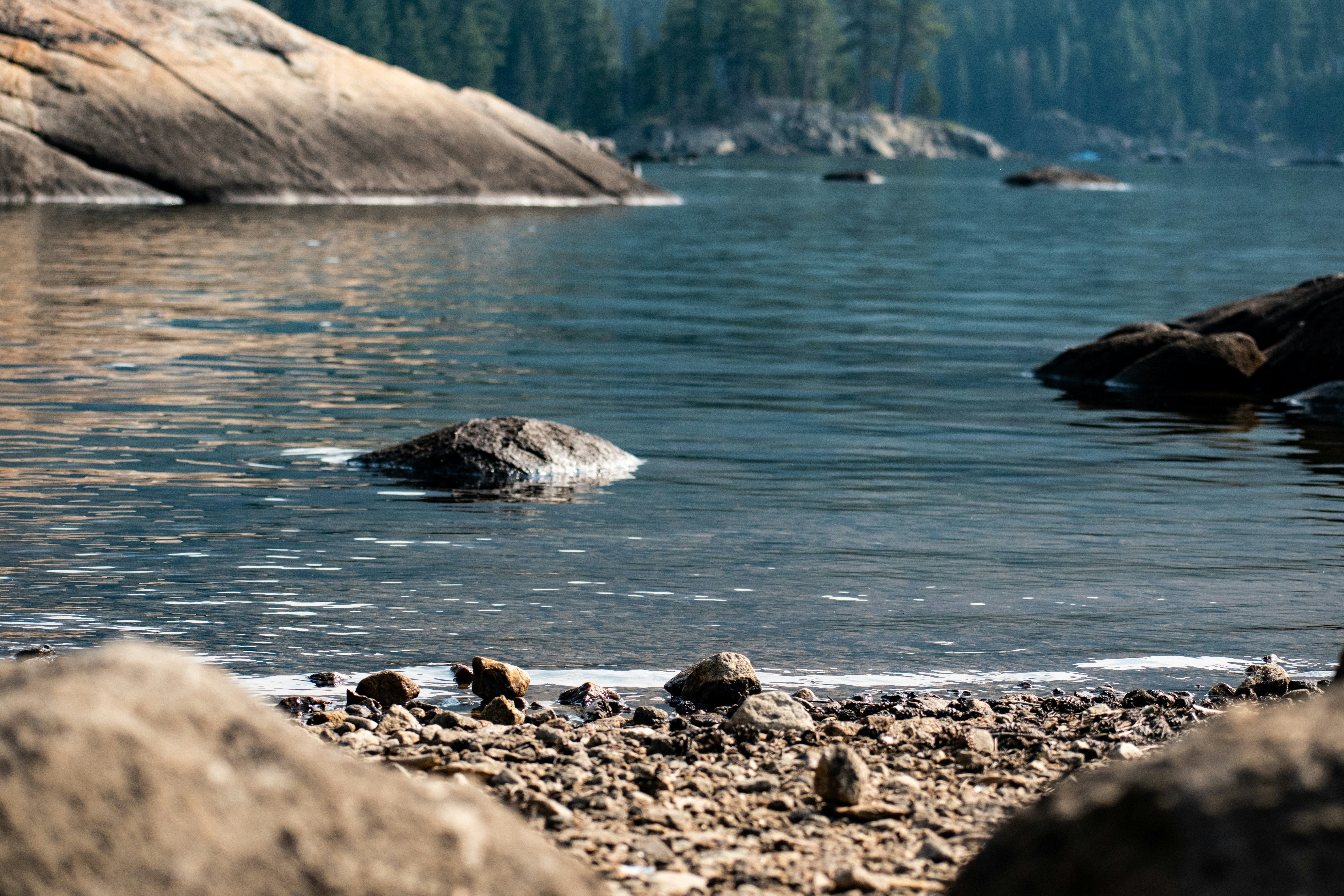 Photo by elisastonephotography