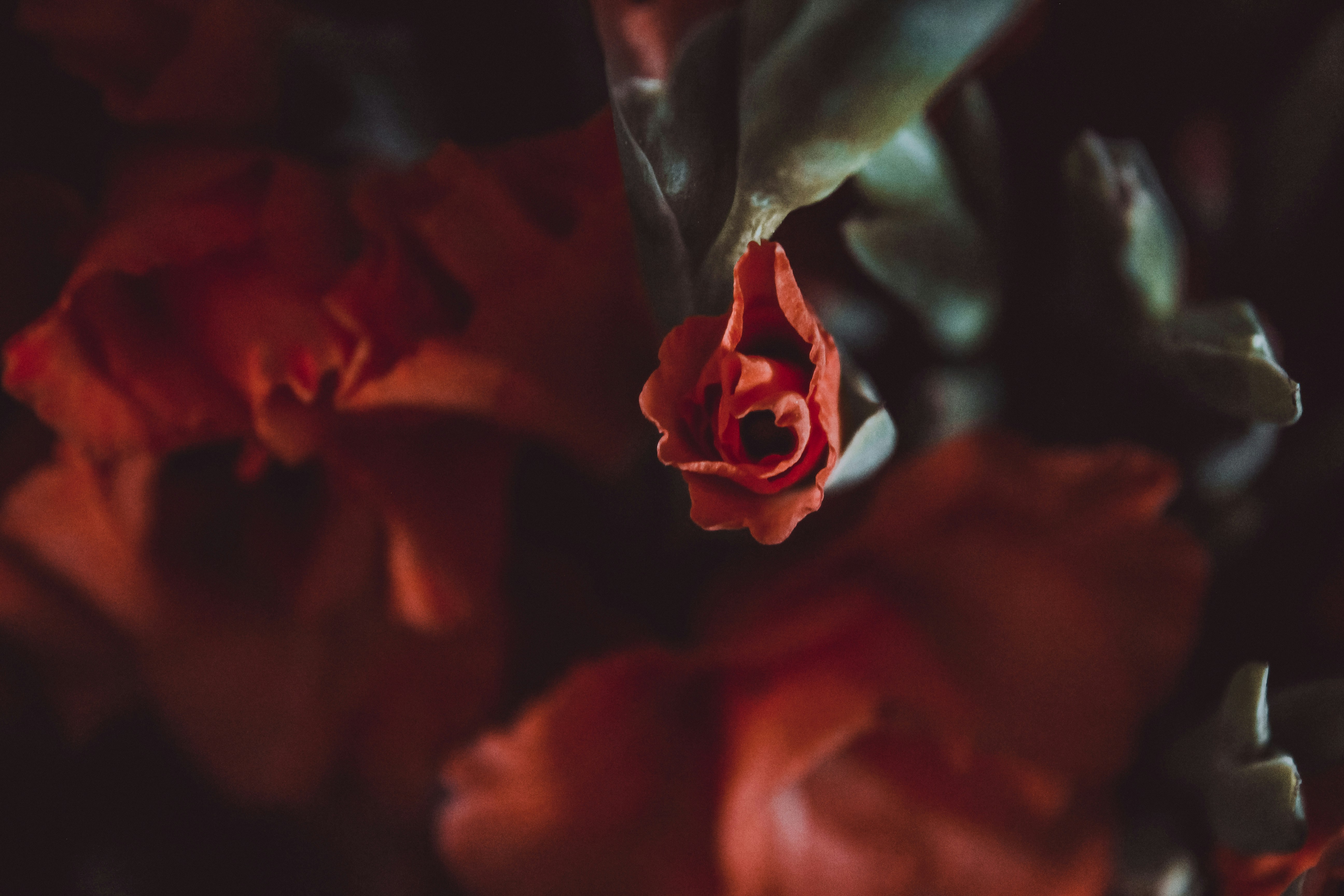 Photo by darkandflawed