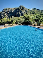 people swimming on pool during daytime