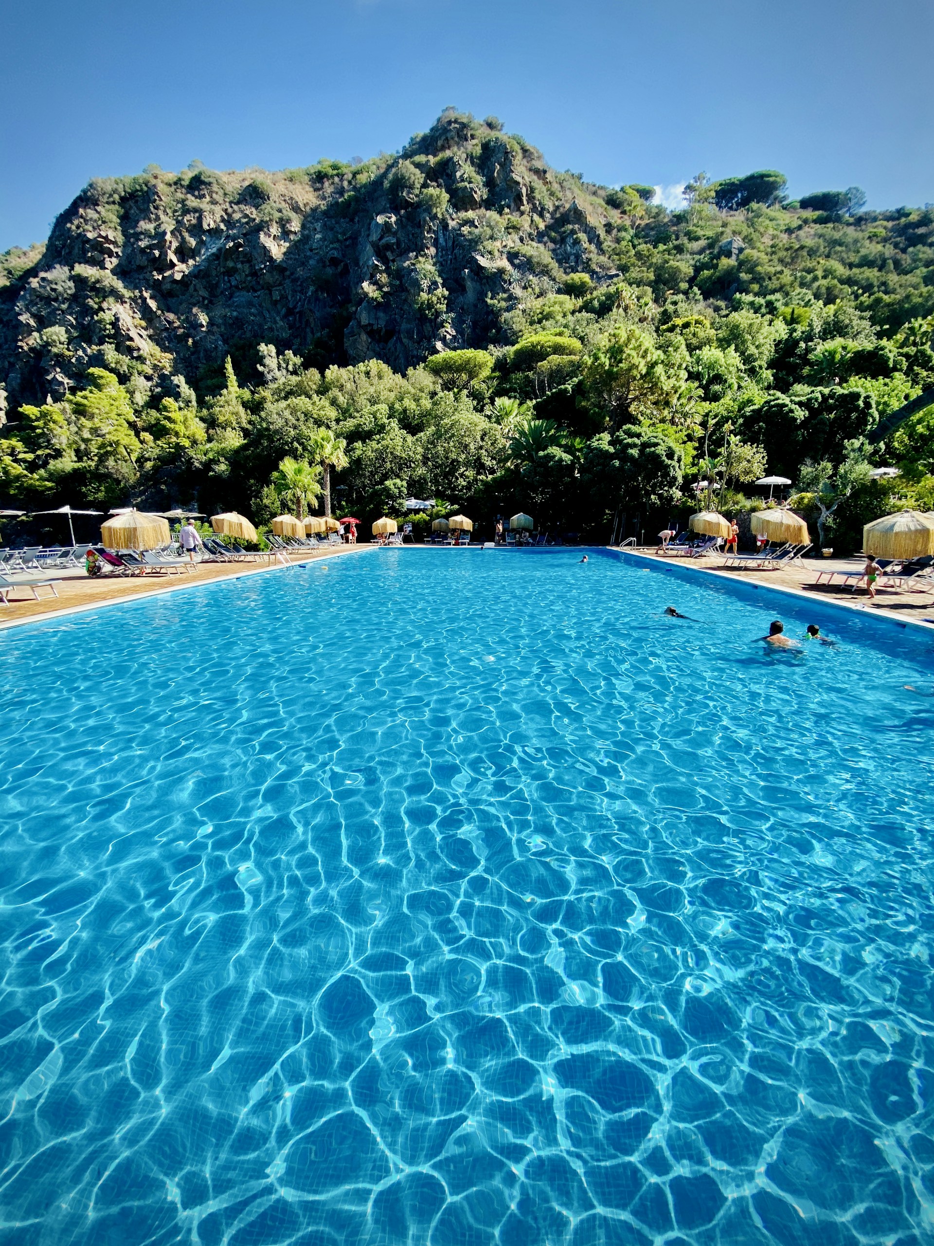 people swimming on pool during daytime