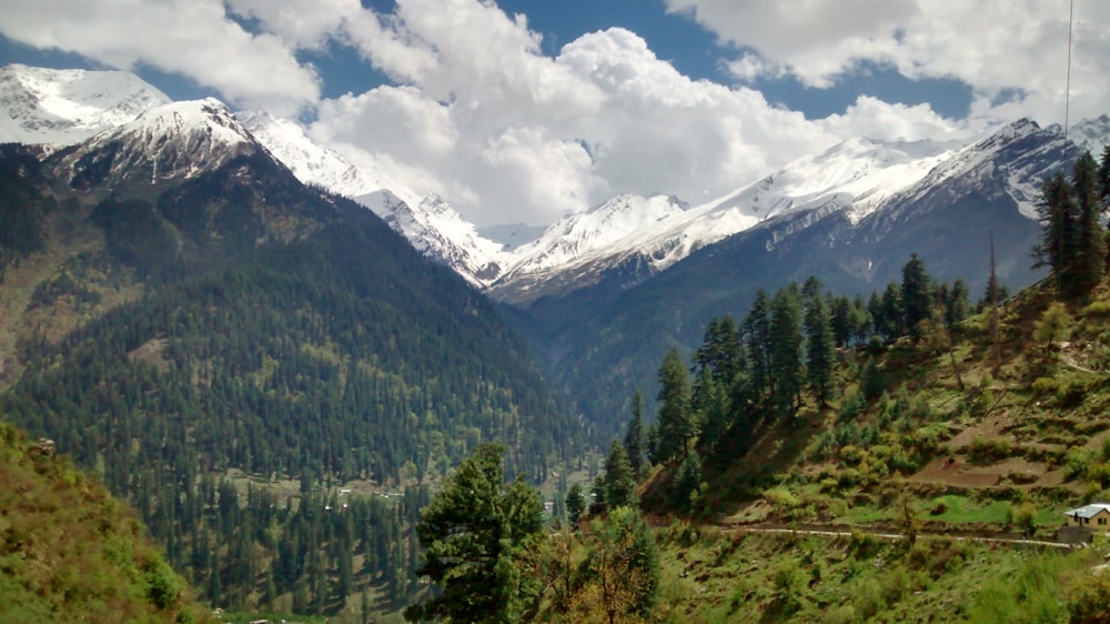 green trees and white mountains under white clouds and blue sky during daytime