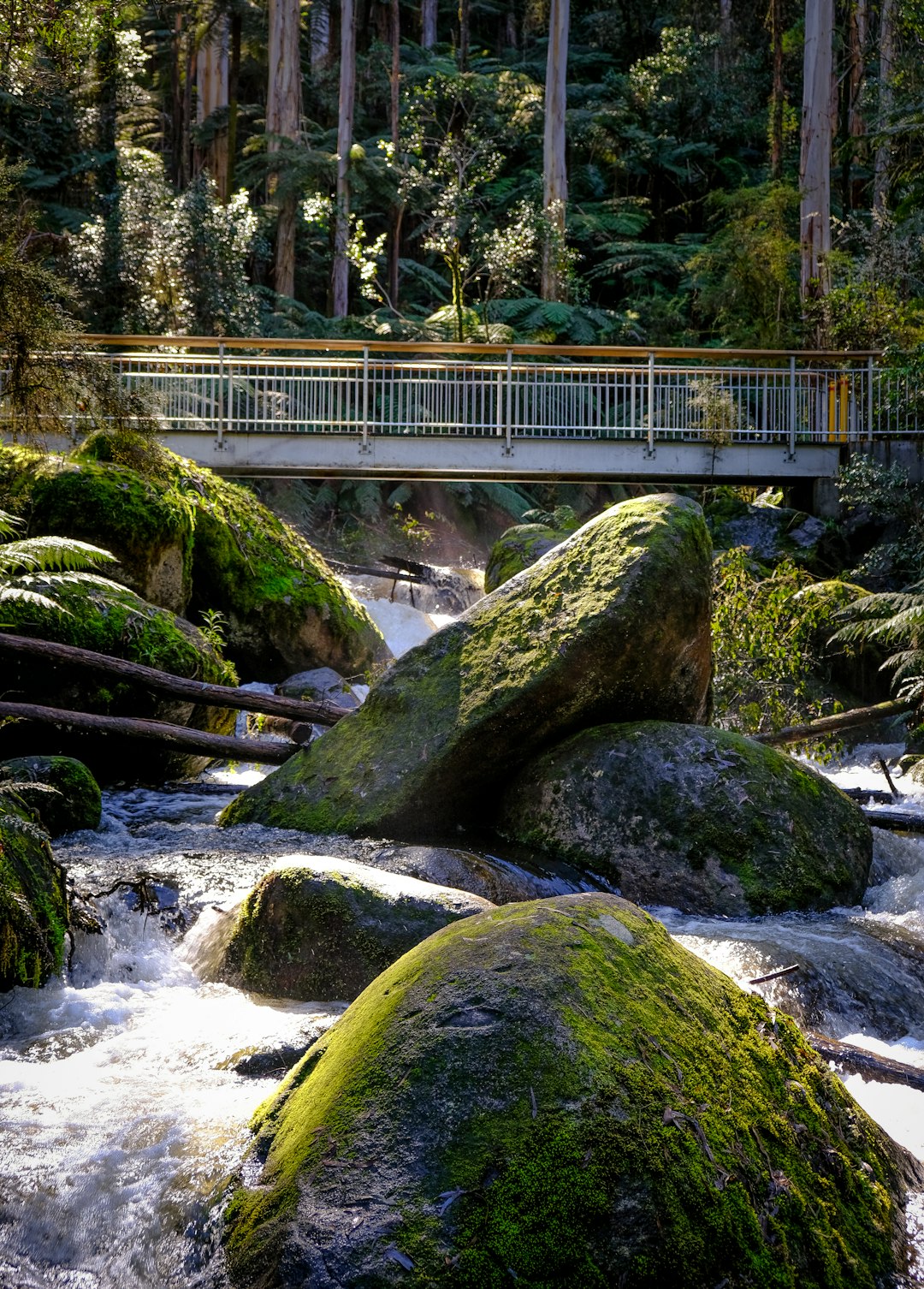 brown wooden bridge over river