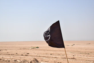 black umbrella on brown sand during daytime