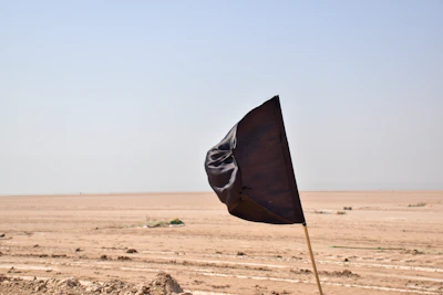 black umbrella on brown sand during daytime