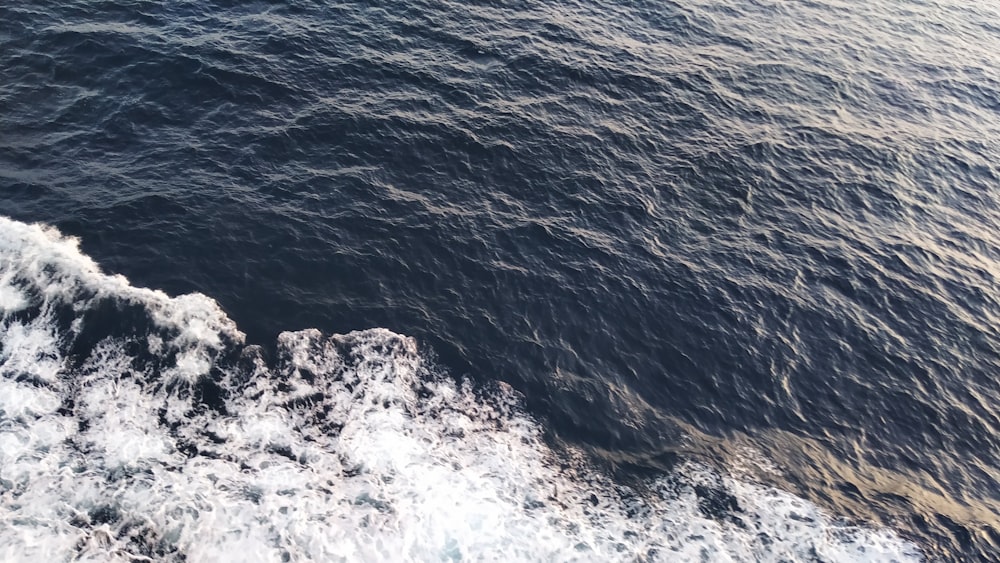 body of water near rocky shore during daytime