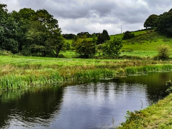 Pond Construction Services