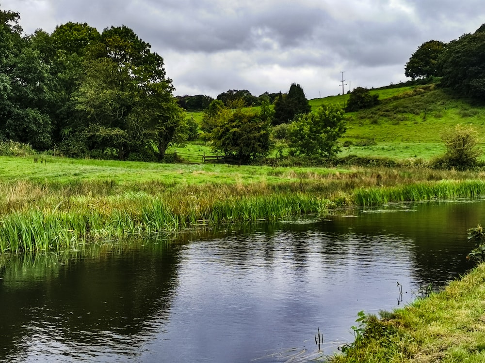 昼間の曇り空の下、川近くの緑の芝生畑