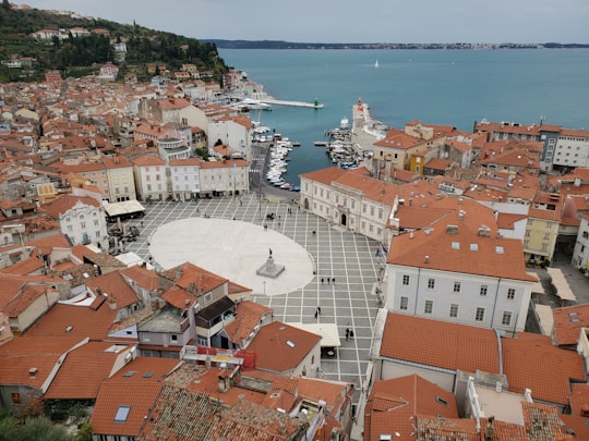 aerial view of city buildings during daytime in Piran Slovenia
