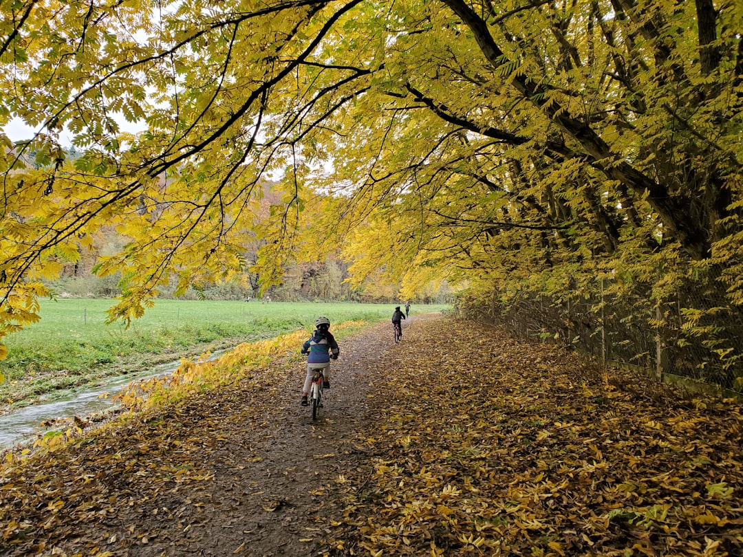 travelers stories about Natural landscape in Ljubljana, Slovenia