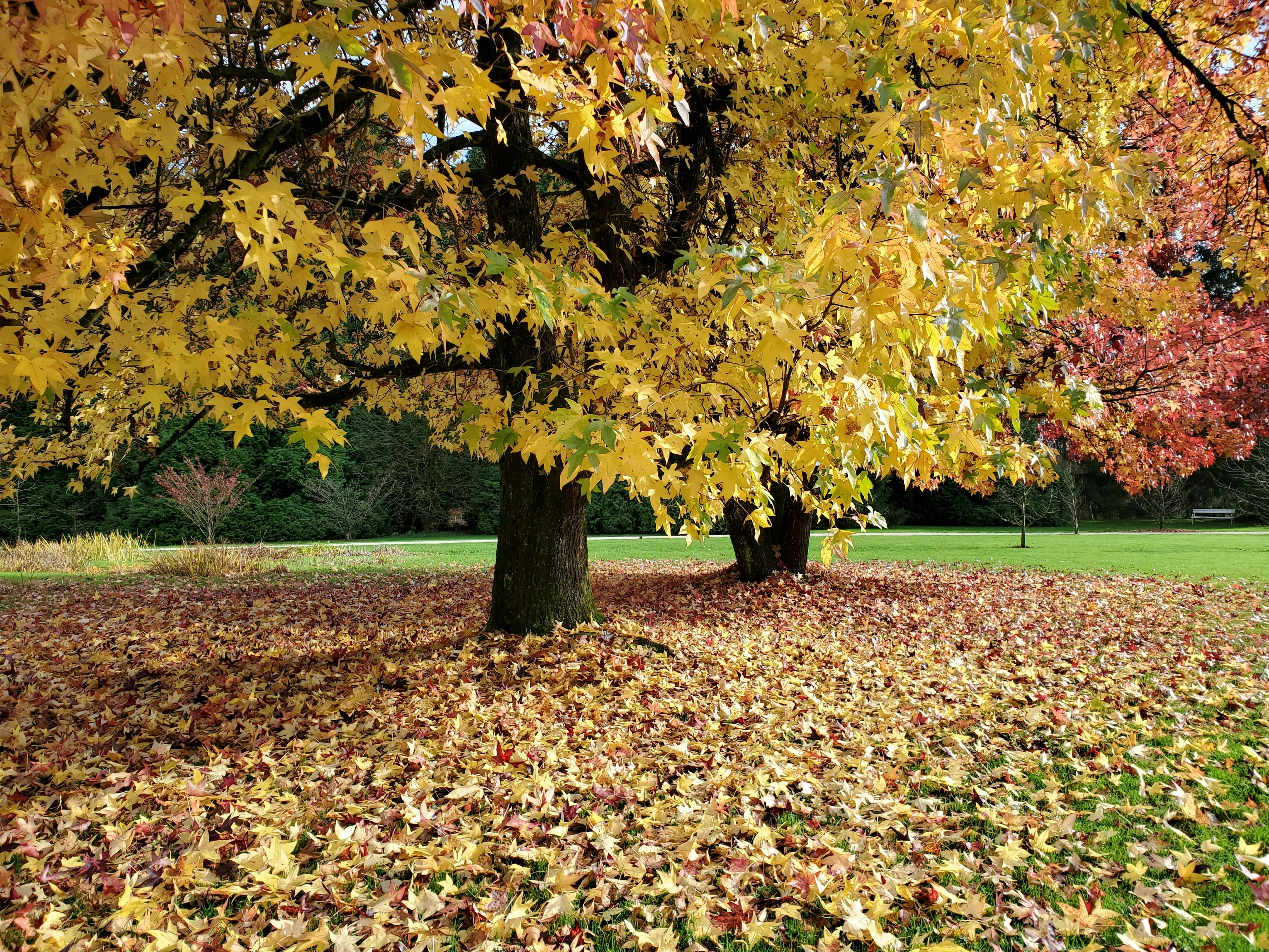 Photo by find_something_pretty_everyday