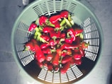 A basket overflowing with ripe red tomatoes and green chilies.
