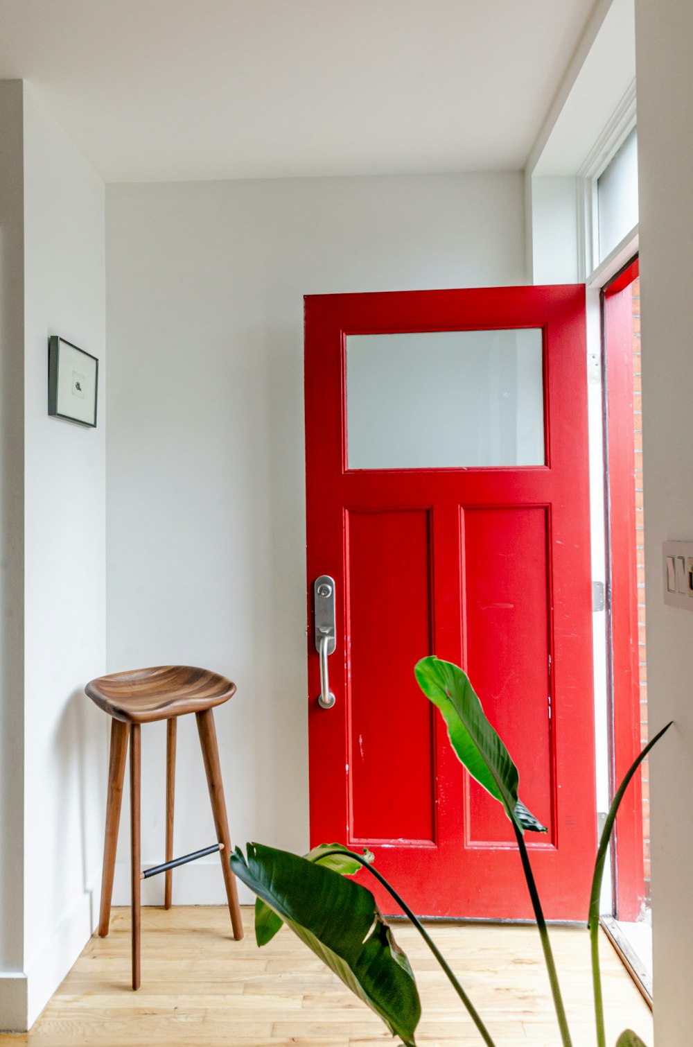 planta verde na porta de madeira marrom