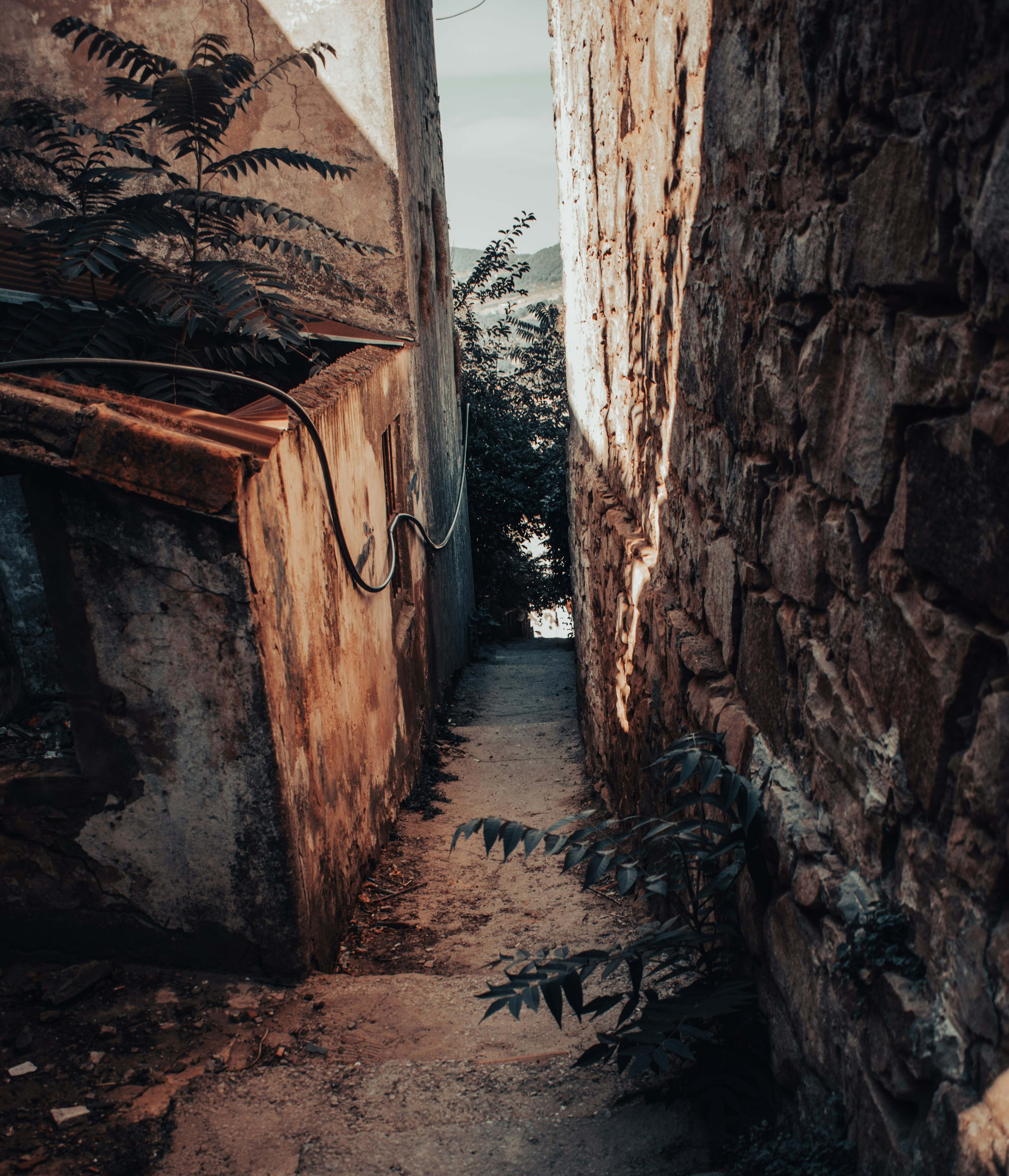 Photo by bilal_ayadi