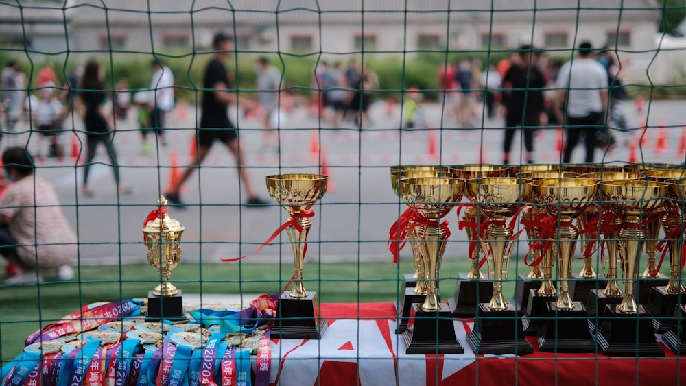 red and gold trophy on blue and red table