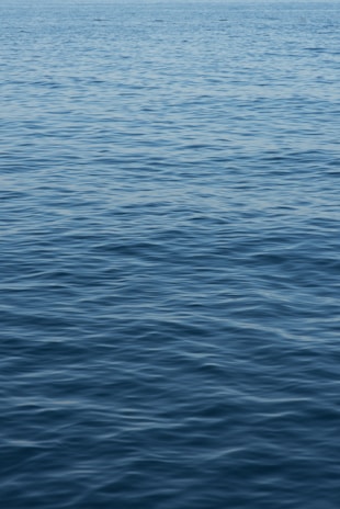 Calm ocean water with gentle ripples extending into the distance. The surface texture is consistent, reflecting natural light with subtle variations in color.
