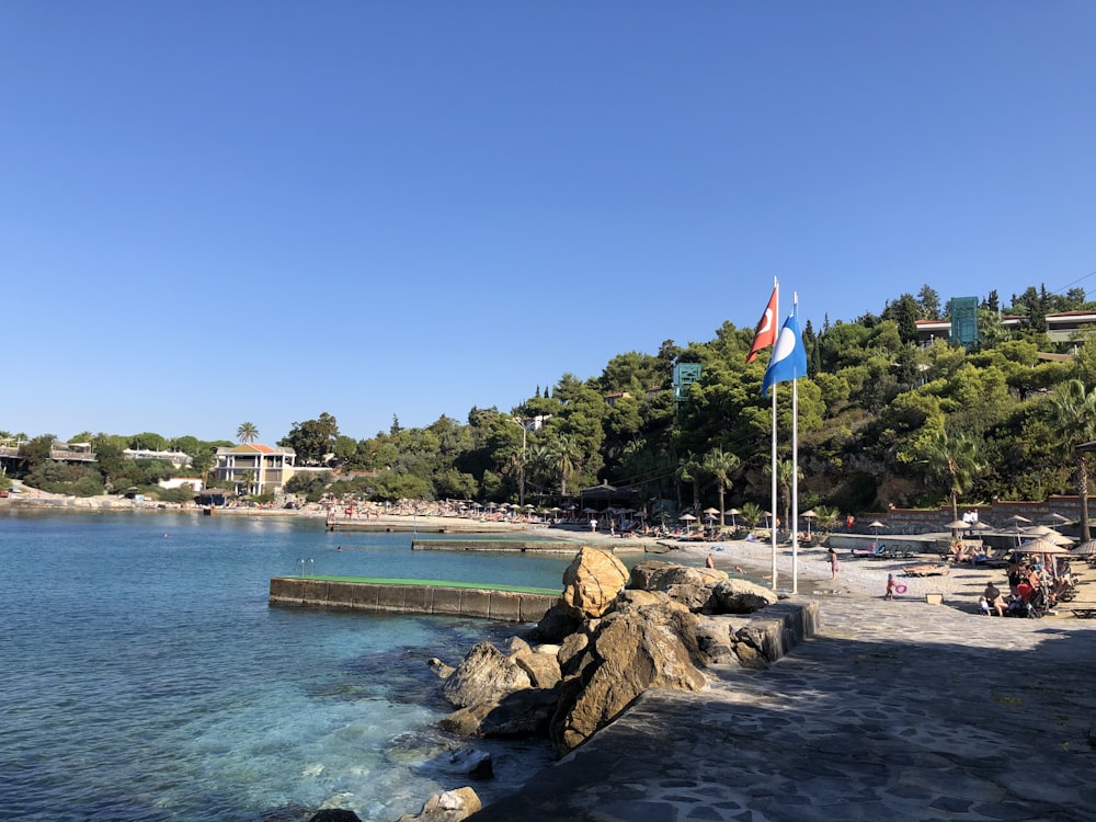 people walking on beach shore during daytime