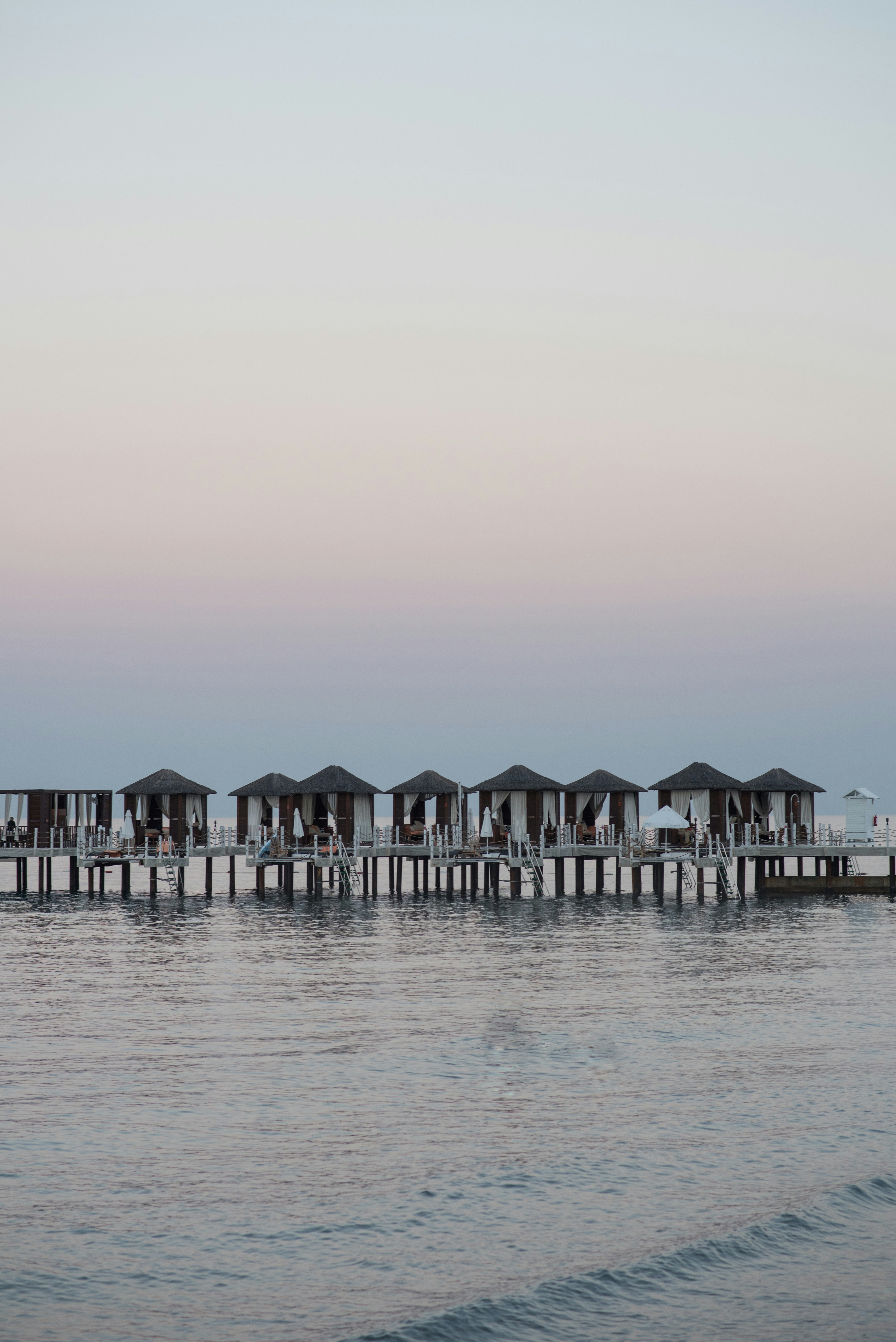 daily_random_picture