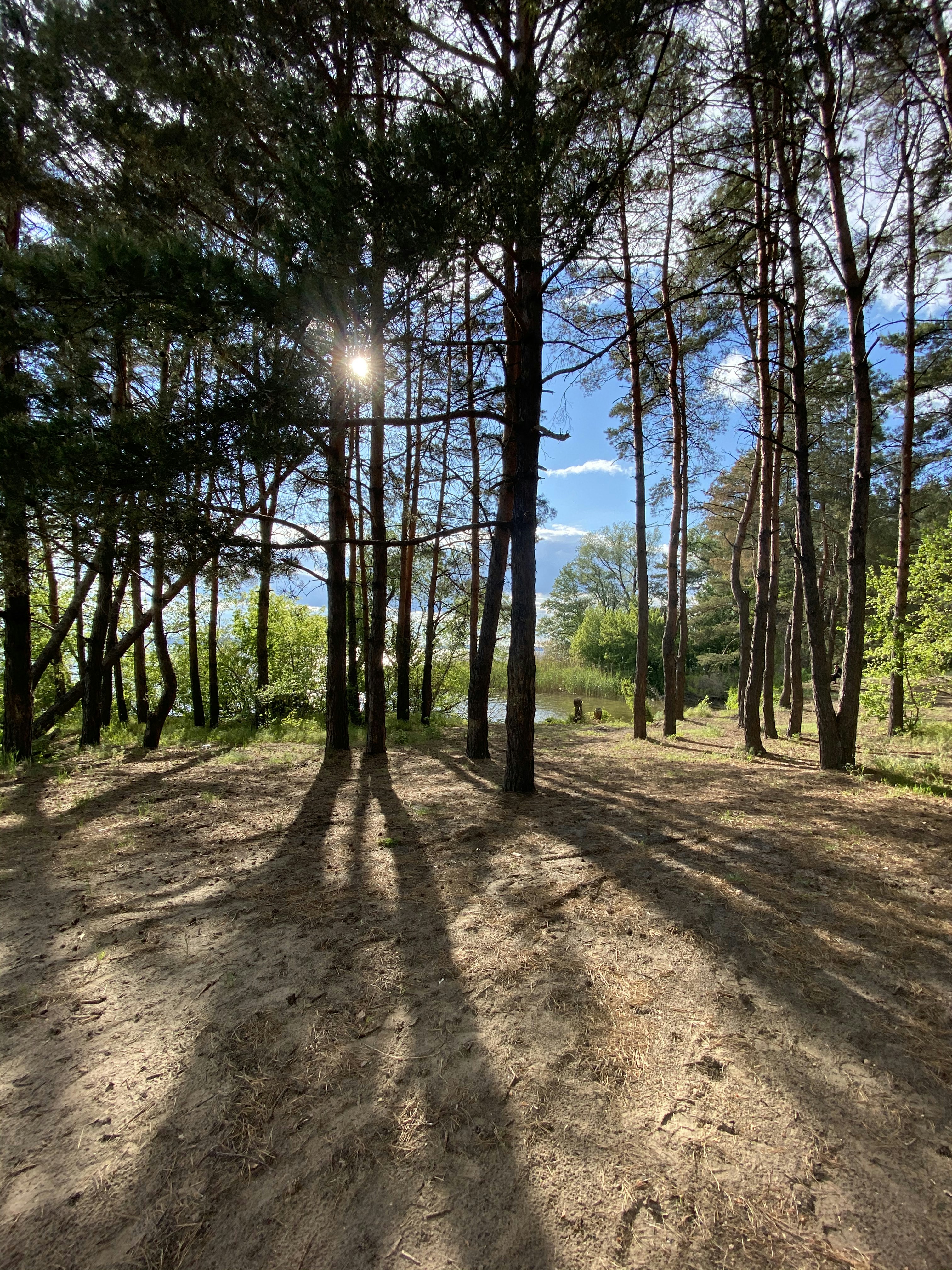 Photo by kate__friendly