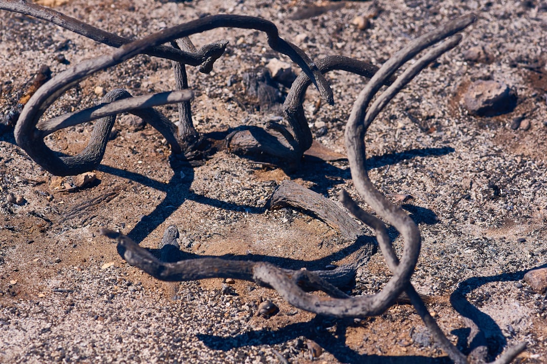 black metal chain on brown sand during daytime