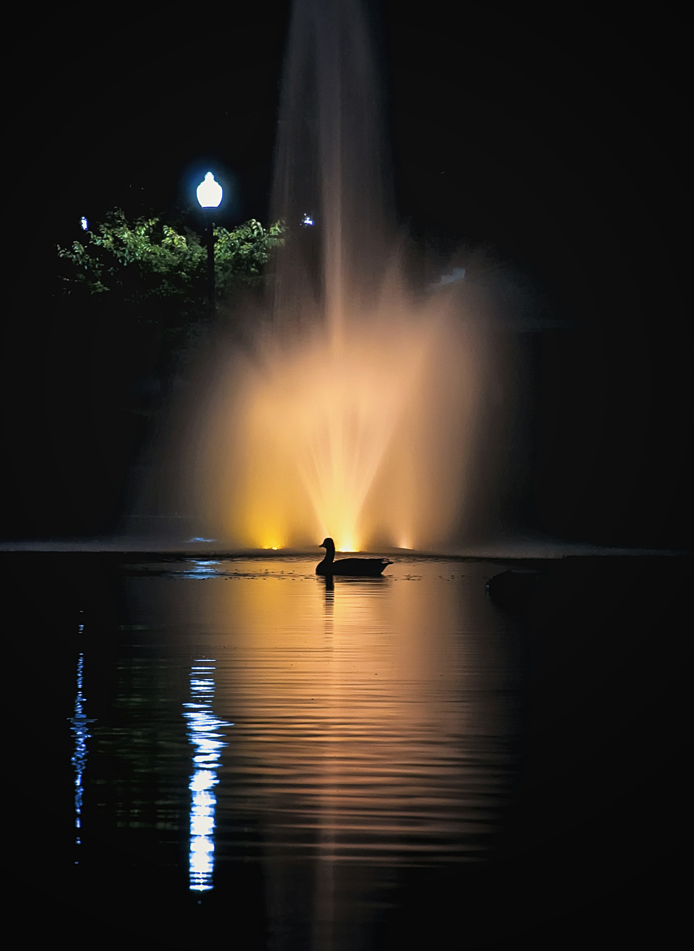 Photo by rthiemann