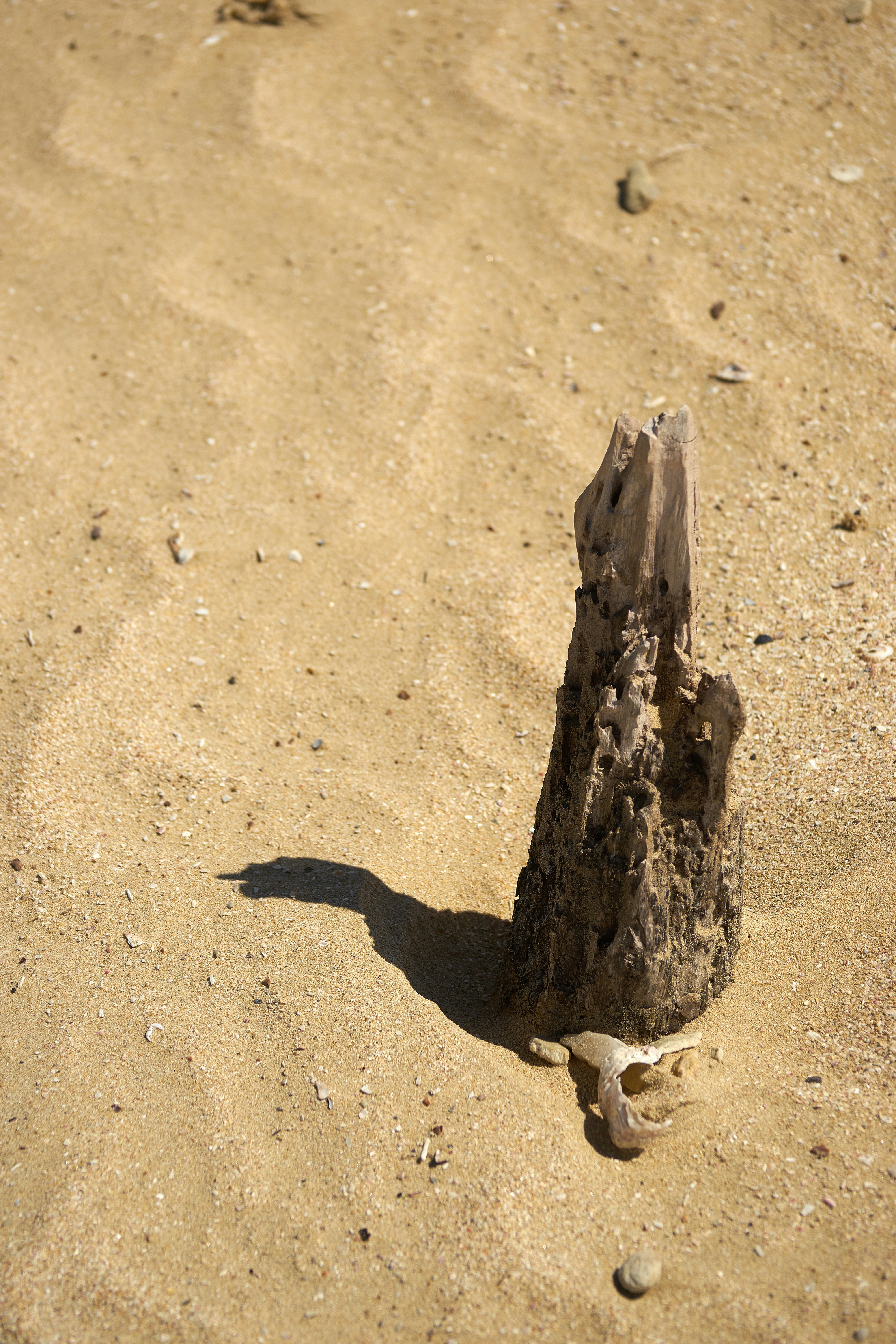 Photo by wolfgang_hasselmann